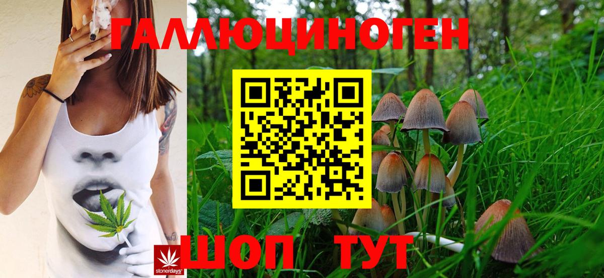 Псилоцибиновые грибы мухоморы Кемерово